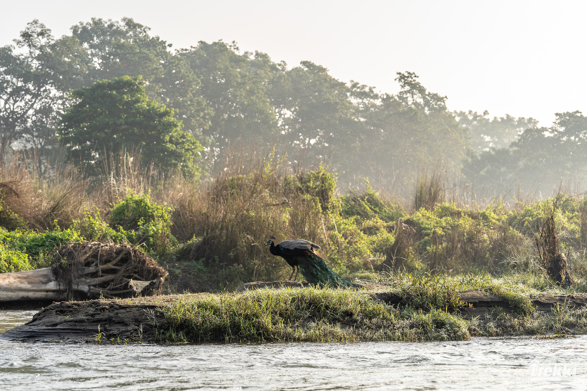 Комфортное путешествие в Непал. Катманду, Покхара, сафари в парк Читван, авиа экскурсия к Эвересту