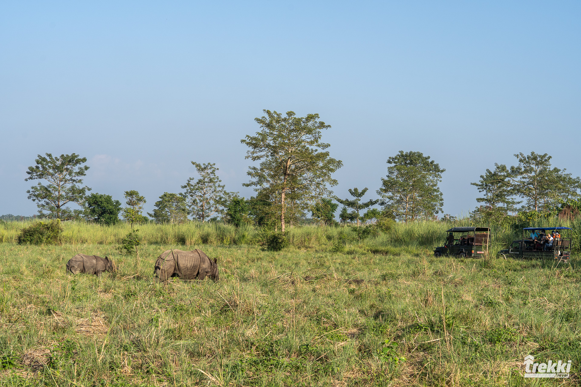 Комфортное путешествие в Непал. Катманду, Покхара, сафари в парк Читван, авиа экскурсия к Эвересту