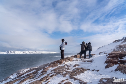 Кольский. Перезагрузка в Териберке  с Trekki.travel