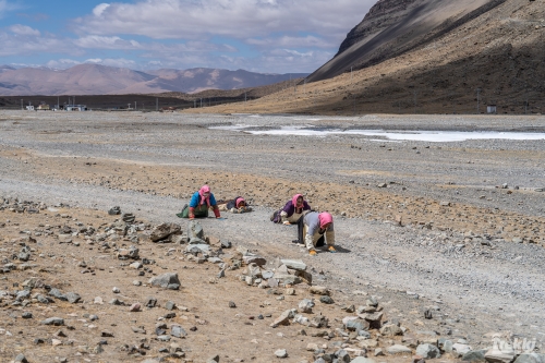 . Мистический Тибет. Кора вокруг Кайласа. Лхаса, дворец Потала, озера Манасаровар, Ямдрок и другие святыни. Непал, Катманду с Trekki.travel