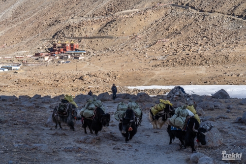 . Мистический Тибет. Кора вокруг Кайласа. Лхаса, дворец Потала, озера Манасаровар, Ямдрок и другие святыни. Непал, Катманду с Trekki.travel