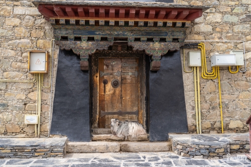 . Мистический Тибет. Кора вокруг Кайласа. Лхаса, дворец Потала, озера Манасаровар, Ямдрок и другие святыни. Непал, Катманду с Trekki.travel