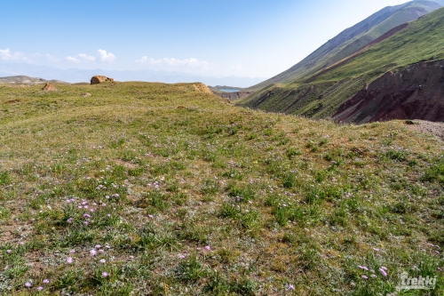 . Пик Ленина 7134 м. Восхождение с комфортом с Trekki.travel