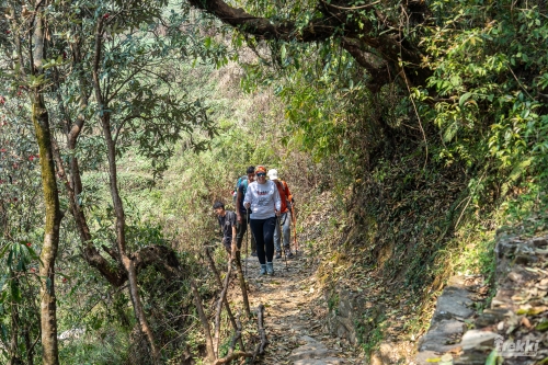. Непал. Рододендроновый трек к дому Шивы горе Мачапучаре, Покхара и Катманду с Trekki.travel