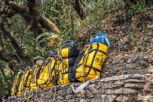 . Непал. Рододендроновый трек к дому Шивы горе Мачапучаре, Покхара и Катманду с Trekki.travel