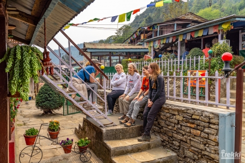 . Непал. Рододендроновый трек к дому Шивы горе Мачапучаре, Покхара и Катманду с Trekki.travel