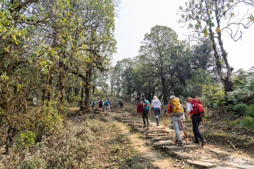 . Непал. Рододендроновый трек к дому Шивы горе Мачапучаре, Покхара и Катманду с Trekki.travel