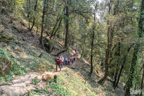 . Непал. Рододендроновый трек к дому Шивы горе Мачапучаре, Покхара и Катманду с Trekki.travel