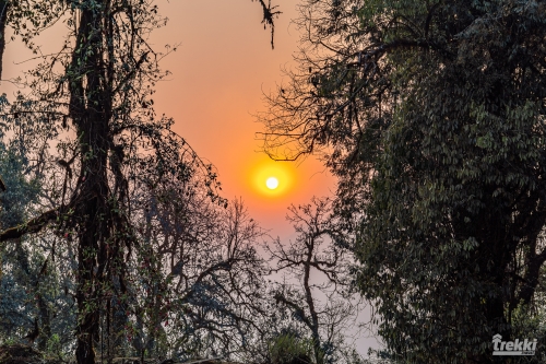 . Непал. Рододендроновый трек к дому Шивы горе Мачапучаре, Покхара и Катманду с Trekki.travel