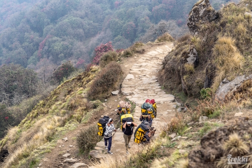 . Непал. Рододендроновый трек к дому Шивы горе Мачапучаре, Покхара и Катманду с Trekki.travel