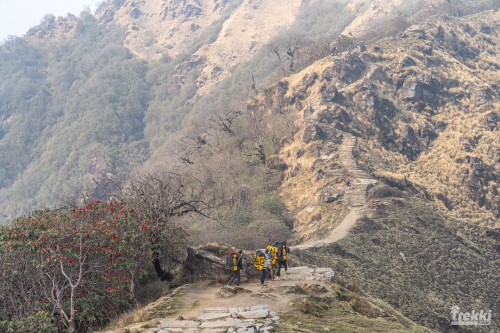 . Непал. Рододендроновый трек к дому Шивы горе Мачапучаре, Покхара и Катманду с Trekki.travel