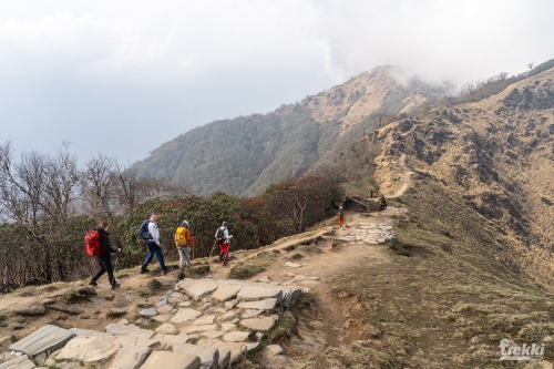 . Непал. Рододендроновый трек к дому Шивы горе Мачапучаре, Покхара и Катманду с Trekki.travel
