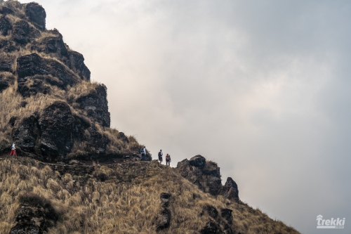 . Непал. Рододендроновый трек к дому Шивы горе Мачапучаре, Покхара и Катманду с Trekki.travel