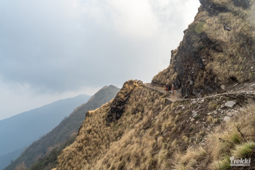 . Непал. Рододендроновый трек к дому Шивы горе Мачапучаре, Покхара и Катманду с Trekki.travel