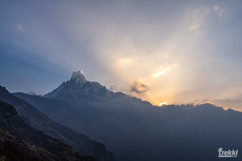 . Непал. Рододендроновый трек к дому Шивы горе Мачапучаре, Покхара и Катманду с Trekki.travel