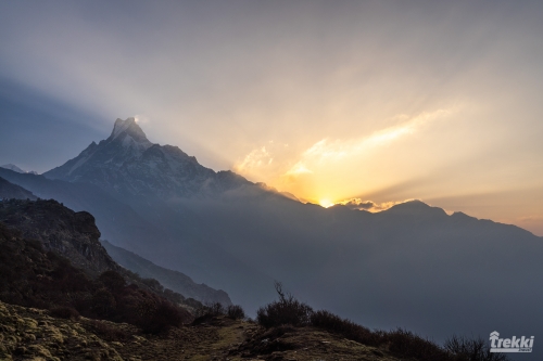 . Непал. Рододендроновый трек к дому Шивы горе Мачапучаре, Покхара и Катманду с Trekki.travel