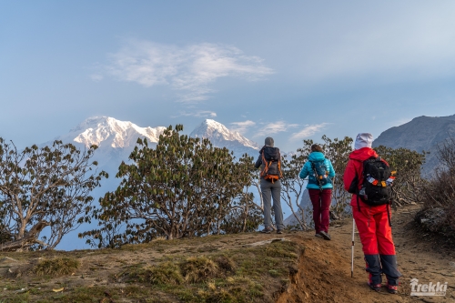 . Непал. Рододендроновый трек к дому Шивы горе Мачапучаре, Покхара и Катманду с Trekki.travel