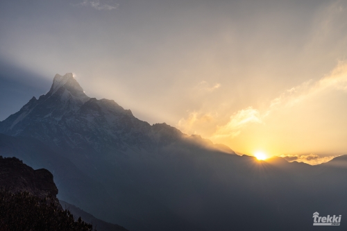 . Непал. Рододендроновый трек к дому Шивы горе Мачапучаре, Покхара и Катманду с Trekki.travel