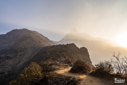 . Непал. Рододендроновый трек к дому Шивы горе Мачапучаре, Покхара и Катманду с Trekki.travel