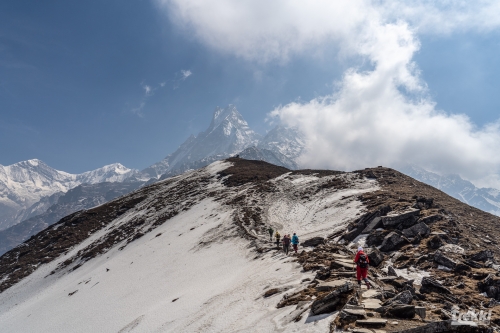. Непал. Рододендроновый трек к дому Шивы горе Мачапучаре, Покхара и Катманду с Trekki.travel