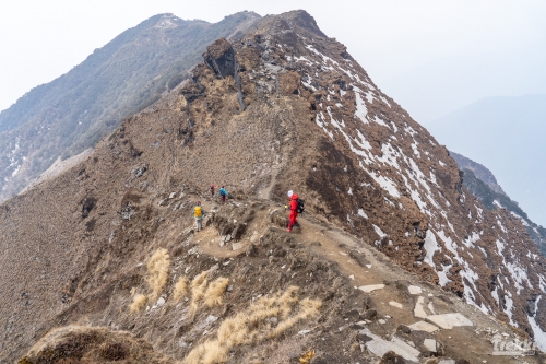 . Непал. Рододендроновый трек к дому Шивы горе Мачапучаре, Покхара и Катманду с Trekki.travel
