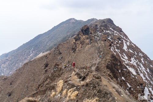 . Непал. Рододендроновый трек к дому Шивы горе Мачапучаре, Покхара и Катманду с Trekki.travel