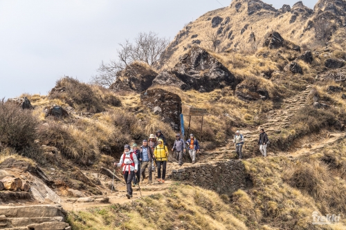 . Непал. Рододендроновый трек к дому Шивы горе Мачапучаре, Покхара и Катманду с Trekki.travel