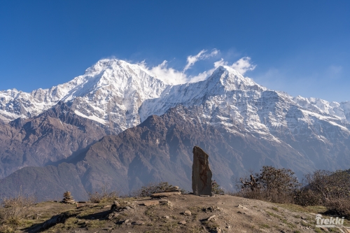 . Непал. Рододендроновый трек к дому Шивы горе Мачапучаре, Покхара и Катманду с Trekki.travel