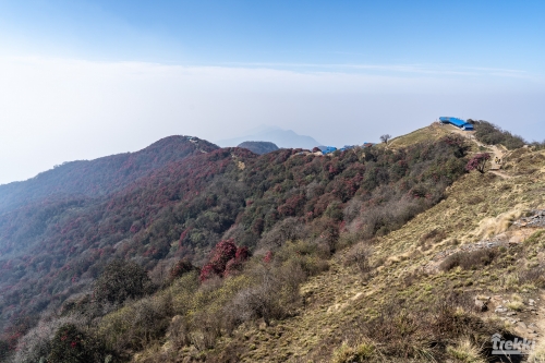 . Непал. Рододендроновый трек к дому Шивы горе Мачапучаре, Покхара и Катманду с Trekki.travel
