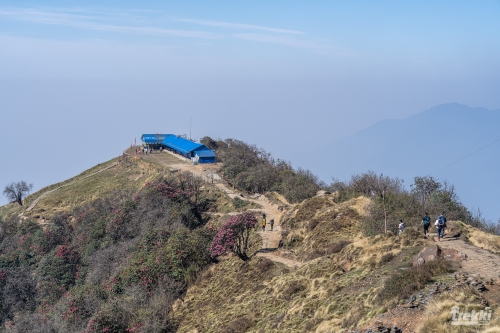 . Непал. Рододендроновый трек к дому Шивы горе Мачапучаре, Покхара и Катманду с Trekki.travel