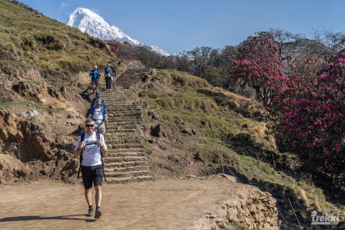 . Непал. Рододендроновый трек к дому Шивы горе Мачапучаре, Покхара и Катманду с Trekki.travel