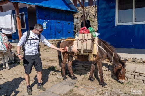 . Непал. Рододендроновый трек к дому Шивы горе Мачапучаре, Покхара и Катманду с Trekki.travel