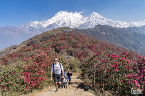 . Непал. Рододендроновый трек к дому Шивы горе Мачапучаре, Покхара и Катманду с Trekki.travel