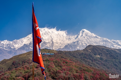 . Непал. Рододендроновый трек к дому Шивы горе Мачапучаре, Покхара и Катманду с Trekki.travel