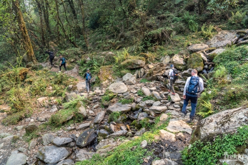 . Непал. Рододендроновый трек к дому Шивы горе Мачапучаре, Покхара и Катманду с Trekki.travel