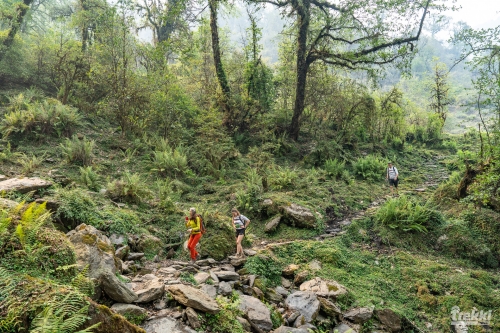 . Непал. Рододендроновый трек к дому Шивы горе Мачапучаре, Покхара и Катманду с Trekki.travel