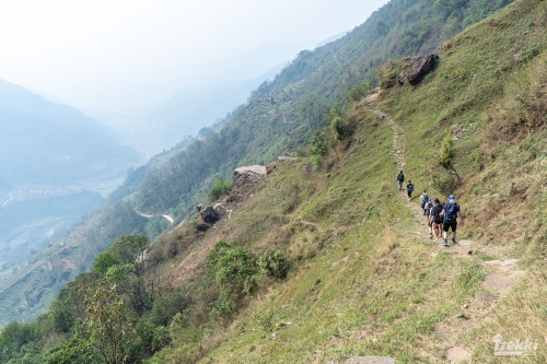 . Непал. Рододендроновый трек к дому Шивы горе Мачапучаре, Покхара и Катманду с Trekki.travel