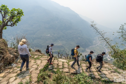 . Непал. Рододендроновый трек к дому Шивы горе Мачапучаре, Покхара и Катманду с Trekki.travel