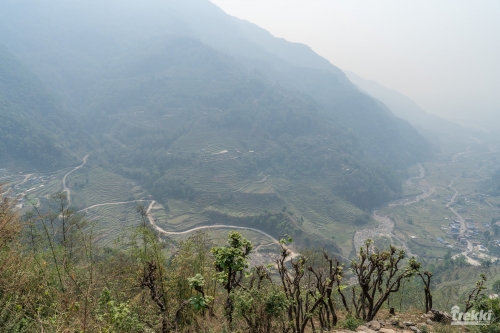 . Непал. Рододендроновый трек к дому Шивы горе Мачапучаре, Покхара и Катманду с Trekki.travel