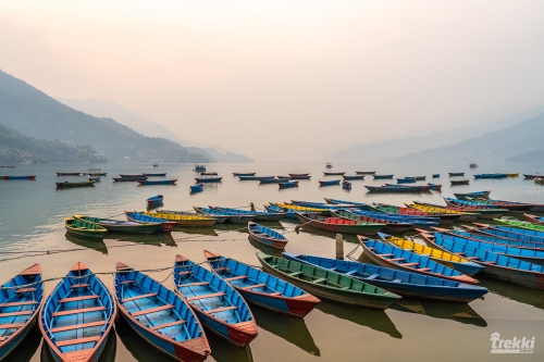. Непал. Рододендроновый трек к дому Шивы горе Мачапучаре, Покхара и Катманду с Trekki.travel
