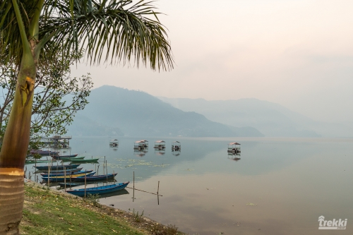 . Непал. Рододендроновый трек к дому Шивы горе Мачапучаре, Покхара и Катманду с Trekki.travel