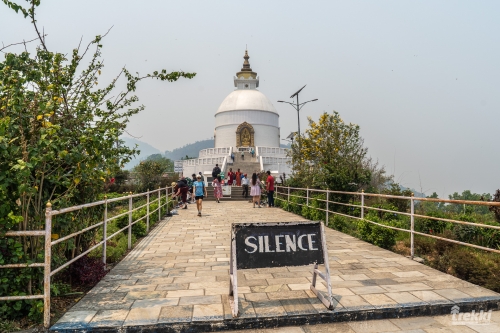 . Непал. Рододендроновый трек к дому Шивы горе Мачапучаре, Покхара и Катманду с Trekki.travel