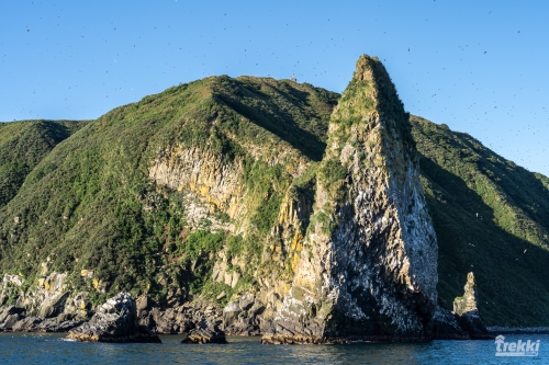 . Камчатка комфорт. Вулканы, водопады, медведи, киты с Trekki.travel