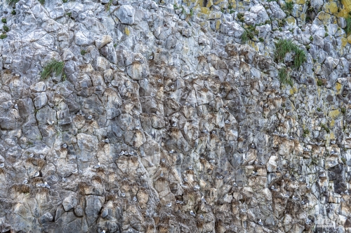 . Камчатка комфорт. Вулканы, водопады, медведи, киты с Trekki.travel