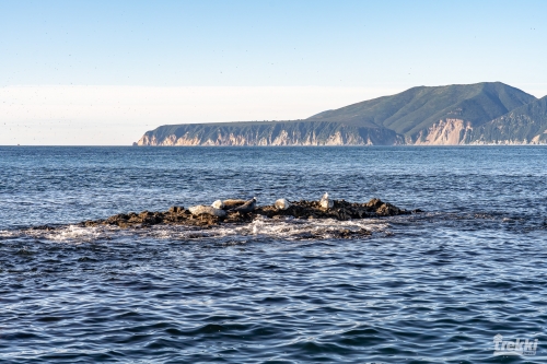 . Камчатка комфорт. Вулканы, водопады, медведи, киты с Trekki.travel