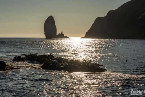 . Камчатка комфорт. Вулканы, водопады, медведи, киты с Trekki.travel