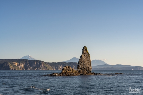 . Камчатка комфорт. Вулканы, водопады, медведи, киты с Trekki.travel