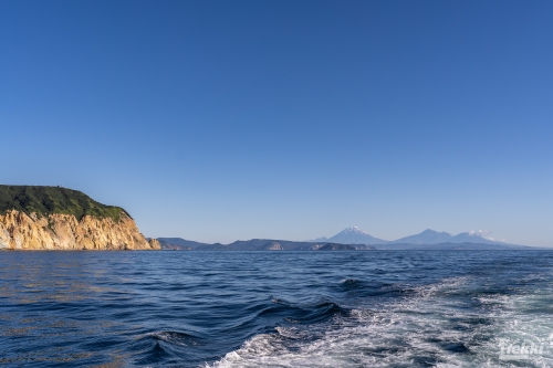 . Камчатка комфорт. Вулканы, водопады, медведи, киты с Trekki.travel