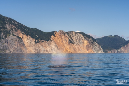 . Камчатка комфорт. Вулканы, водопады, медведи, киты с Trekki.travel