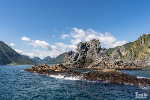 . Камчатка комфорт. Вулканы, водопады, медведи, киты с Trekki.travel